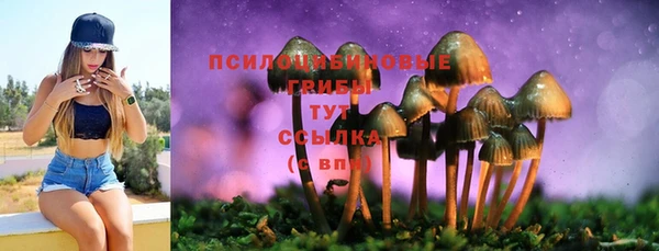 стаф Балабаново