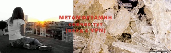 ПСИЛОЦИБИНОВЫЕ ГРИБЫ Арсеньев