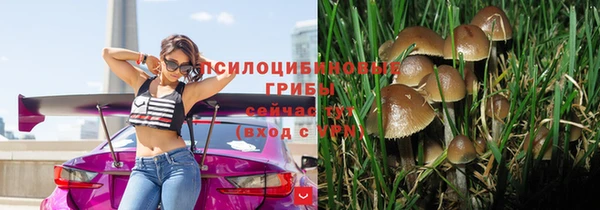 spice Балахна