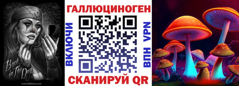 Галлюциногенные грибы Psilocybe  наркота  Лебедянь 